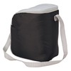 Insulated Cooler Bags Promotional Insulated Lunch Bag 210 D Fitness Cooler Lunch Bag for Office Lunch