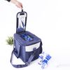 Custom Printed Factory Price Thermal Insulated Cooler Bag Insulation Lunch Cooler Bag