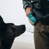 Portable Belt Adventure Dog Treat Bag lightweight hands-free puppy pet training waist bag pet snack training bag
