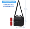 Double Layer Customized Logo Picnic Food Can Cooler Bags Premium Quality Soft Portable Travel Insulated Bag Cooler