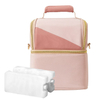 Collapsible Freezer Thermal Shoulder Strap Backpack Cooler Bag Portable Hiking Breastmilk Storage Bags Box