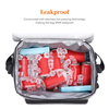 Large Capacity Insulated Cooler Tote Lunch Bags Custom Double Layer Soft Cooler Bag with Handles