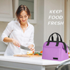 Thermal Insulation Woman Picnic Office Cooler Food Drinks Container Tote Designer Fashion Freezable Lunch Bag Wholesale