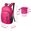 Hot Pink Color Water Resistant Casual School Bag Foldable Outdoor Sport Fitness Gym Backpack
