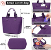 Wholesale Insulated Cooler Bags Luxury Lunch Bag Leakproof Insulated Lunch Purse College Work Picnic Canvas Cooler Bag