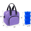 Leakproof Baby Bottle Tote Bag Insulated Breastmilk Cooler Bag Lunch Tote Bag Reusable Gel Ice Pack Women