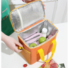 Waterproof Reusable Free Cooler Cheap Carry-on Bag Portable Collapsible Grocery Bag Cooler for Picnic Camping Travel