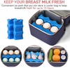 Dual Compartment Lunch Bag Stroller Organizer Baby Bottle Breastmilk Cooler Bag