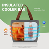 Lunch Bag Women Insulated Lunch Bag for Men Small Portable Reusable Lunch Cooler Bags