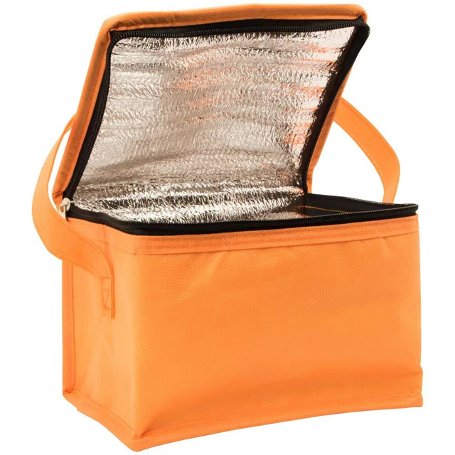 Simple Locking Cooler Boxes Insulated Food Warmer Fast Lunch Food Box