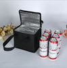 Customised Grocery Food Delivery Extra Large Tote Insulated Thermo 12 Can Wine Cooler Bag