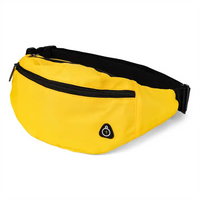 Fashion Waterproof Nylon Custom Logo Multifunction Travel Fanny Pack Phone Pocket Waist Bag