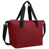 Lunch Bags for Women Large Insulated Lunch Tote Bag Lunch Box Travel Beach with Adjustable Shoulder Strap