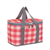 Small Size Cooler Bag Insulated Portable Travel Picnic Aluminium Foil Full Printing Cooler Bag for Kids