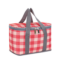 Small Size Cooler Bag Insulated Portable Travel Picnic Aluminium Foil Full Printing Cooler Bag for Kids