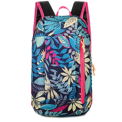 Wholesale Schoolbags
