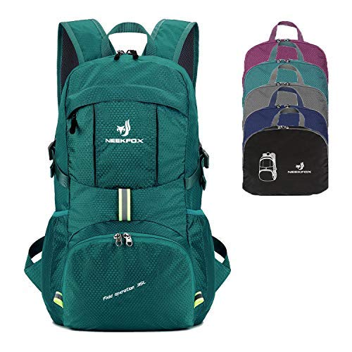 Packable Lightweight Hiking Daypack Travel Hiking Backpack Ultralight Foldable Backpack for Women Men