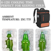 Outdoor Lightweight Waterproof Large Capacity Soft Shoulder Cooler Backpack Cooling Bag Insulated Bags