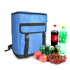 BSCI Double Shoulder Backpack Outdoor Picnic Large Insulation Waterproof Takeout Cooler Backpack