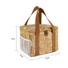 Free Sample!Promotion Custom Waterproof Picnic Food Bag Lunch Bbq DuPont Paper Insulated Lunch Thermal Cooler Bag