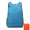 Fashion Personalized Foldable Backpack Foldable Heavy Duty Backpack Bag Pack Back Wholesale Folding Bag