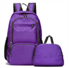 OEM Promotion Outdoor Portable Waterproof Light Weight Simple Outdoor Sports Travel Foldable Backpack