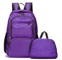 OEM Promotion Outdoor Portable Waterproof Light Weight Simple Outdoor Sports Travel Foldable Backpack