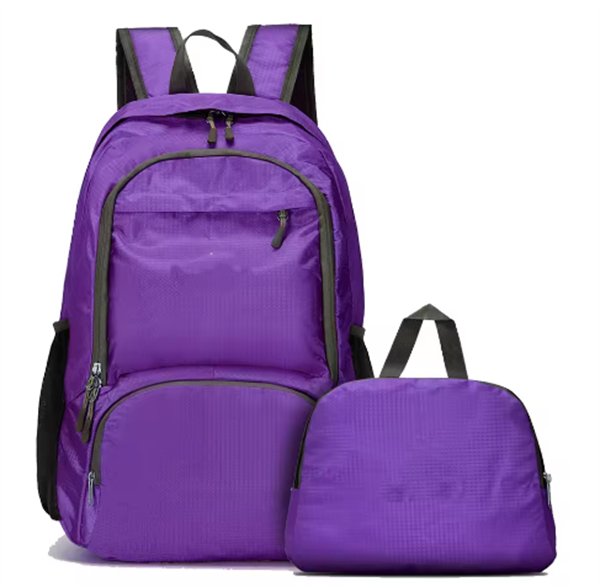 OEM Promotion Outdoor Portable Waterproof Light Weight Simple Outdoor Sports Travel Foldable Backpack