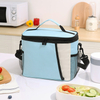 Insulated Cooler Bags with Strap Reusable Lunch Bag Fishing Cooler Box with Ample Capacity