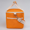 Custom Canvas Insulated Lunch Cooler Bag Leakproof Portable Collapsible Soft Cooler Bag