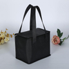 Wholesale Non-woven Insulation Bag Portable Lunch Cooler Bag Outdoor Picnic Bag