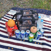 Waterproof Insulated Cooler Bag Folding Picnic Portable Food Thermal Pack Delivery Bag
