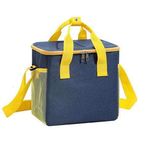 Insulated Lunch Tote Bag with Adjustable Shoulder China Manufacturer Promotional Lunch Tote Bag Women