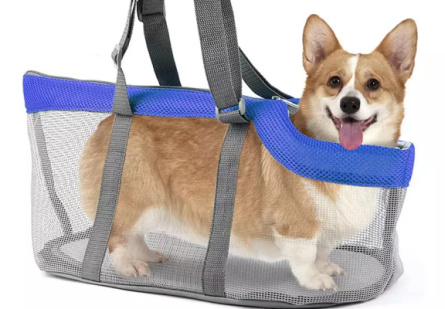 dog carrier