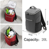 Customized Outdoor Thickness Thermal Foam Wine Cooler Bag Insulation Picnic Camping Backpack