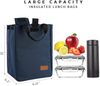 High Quality Waterproof Large Capacity Portable Stylish Insulated Lunch Box Carry Bag School Insulated Gift Cooler Bags