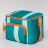 Aluminium Foil Leak Proof Insulated Thermal Cooler Bag Printing Lunch Bag for Travel Picnic