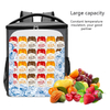 Waterproof PEVA Lining Zipper Wine Beer Lunch Bags Cooling Insulated Backpack Cooler Bag for Sea Food