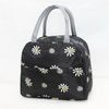 Fashion Women Insulated Lunch Bags Box for Women Work Cute Lunch Bags for Girls Lunch Tote Bag for Work Daily Use