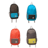 Waterproof Portable New Style Ultra-Light Packable Daypack Foldable Backpack Outdoor Bag