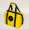 Sublimation Lunch Tote Cooler Bag with Speaker Insulated Totes Cooler Carry Thermal Lunch Bag