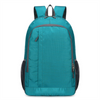 Hot Sell Lightweight Travel Backpack Custom Logo Durable Fabric Waterproof Folding Bags Day Packs