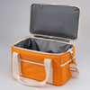 Custom Canvas Insulated Lunch Cooler Bag Leakproof Portable Collapsible Soft Cooler Bag