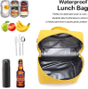 Crossbody Light Color Elegant Girls Bento Lunch Box Storage Bag Cooler Freezing Office Food Lunch Bag for Women