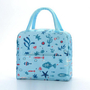 Fashion Women Insulated Lunch Bags Box for Women Work Cute Lunch Bags for Girls Lunch Tote Bag for Work Daily Use