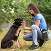 Custom Small Dog Treat Shoulder Bag Pet Training Waist Pouch Lightweight Drawstring Closure Dog Snack Sling Bag