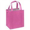 Non-Woven Thermal Large Ice Cooler Lunch Bag for Daily Use Insulated Aluminum Foil PP Soft Lunch Picnic Fold Able Cooler Bags