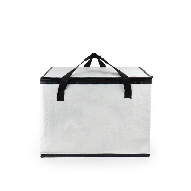 Promotional Foldable PP Woven Insulated Thermal Cooler Bag Waterproof Reusable Eco-Friendly Handle Printed Pattern