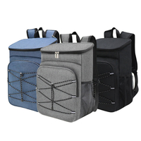 2025 Hot Sale Factory ODM Custom Design Large Capacity Outdoor Backpack Keep Warm Portable Cooler Bag for Men