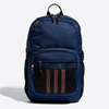 Travel Backpack Large Capacity Waterproof Hiking Computer Backpack